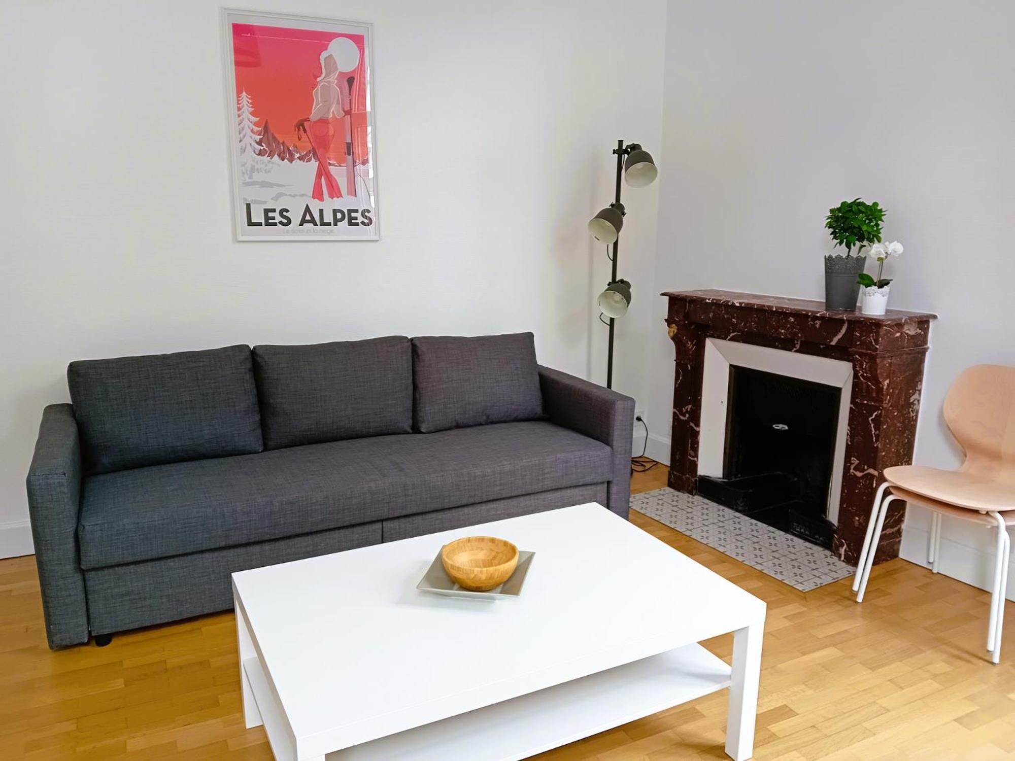 102 - Appart Renove Avec Grand Salon Et 1 Chambre - Tram Et Clinique Mutualiste A 1 Min Grenoble Ngoại thất bức ảnh