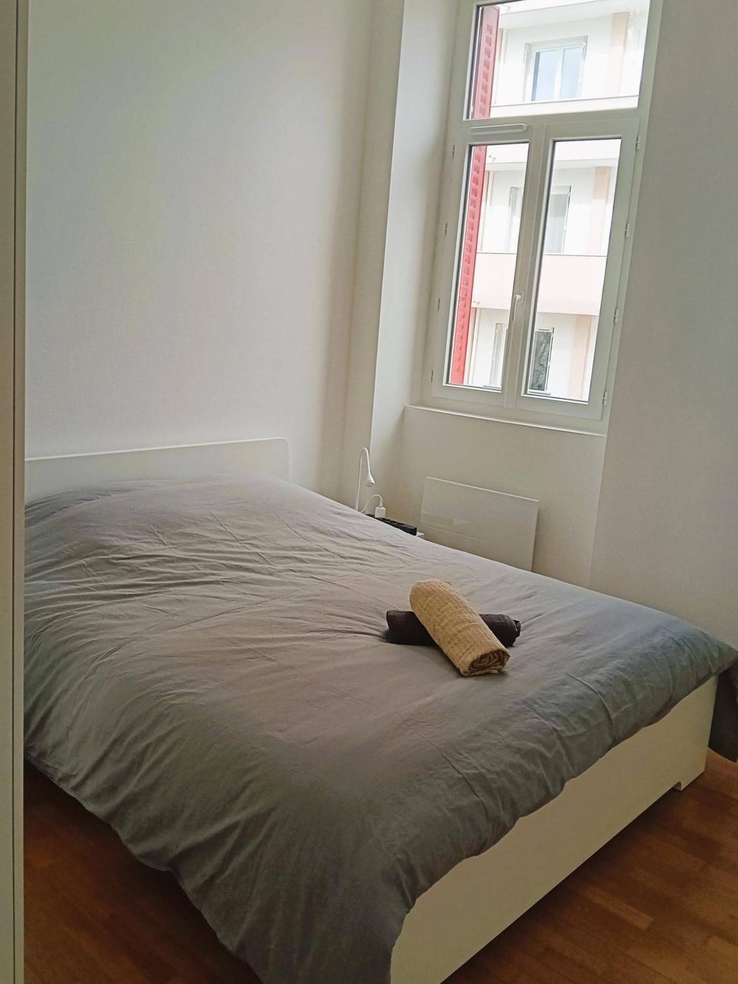 102 - Appart Renove Avec Grand Salon Et 1 Chambre - Tram Et Clinique Mutualiste A 1 Min Grenoble Ngoại thất bức ảnh